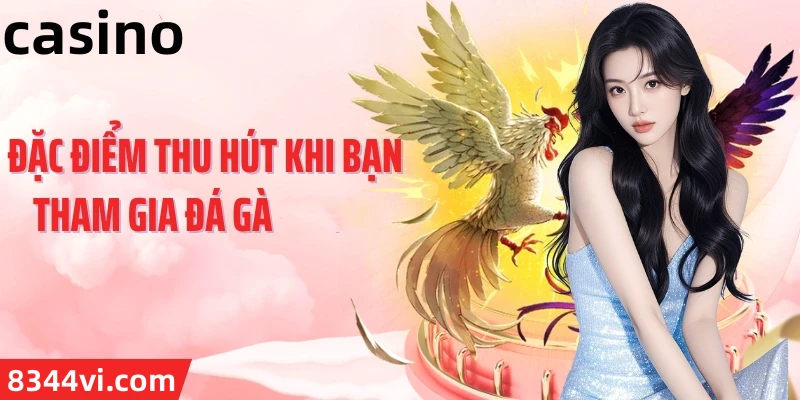 Hình ảnh quảng cáo của 45678 hiển thị nền tảng và các lợi ích
